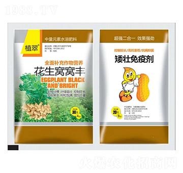 花生窩窩豐-鑫瑞豐