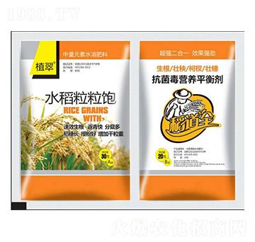 水稻粒粒飽-鑫瑞豐