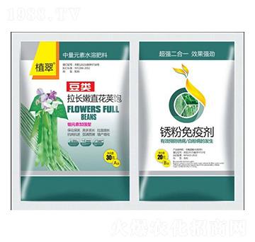 豆類拉長嫩直花莢寶-植翠-鑫瑞豐