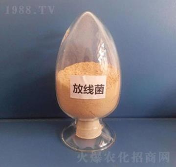 放線菌（液體）-亮澤生物