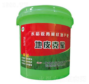 水稻返青柯杈增產(chǎn)肥-地皮克星-永旺肥業(yè)