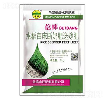 水稻苗床斷奶肥送嫁肥-倍棒-永旺肥業(yè)