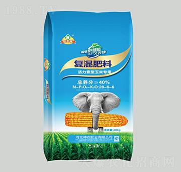 �����������׌�(zhu��n)�Ï�(f��)���