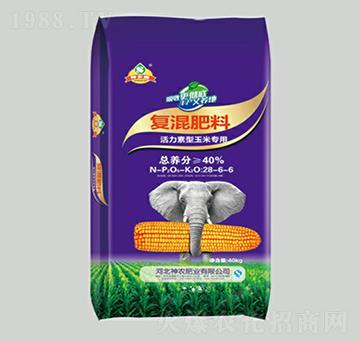 �����������׌�(zhu��n)�Ï�(f��)���