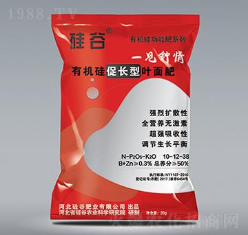 �ЙC����L���~���-��