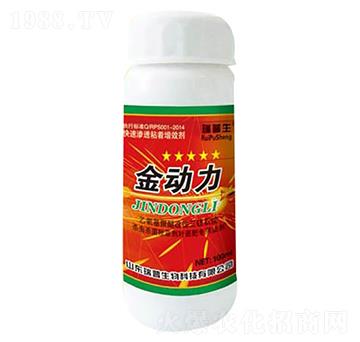 ����(d��ng)��-��������