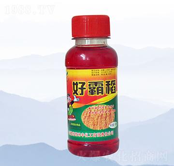 100ml好霸稻-禾豐