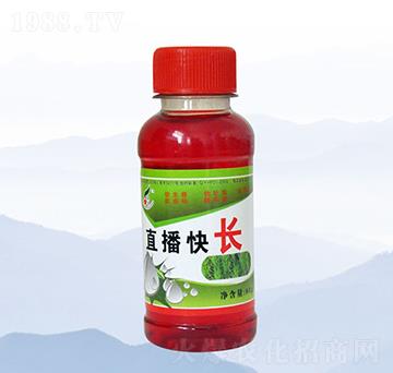 80ml直播快長-禾豐