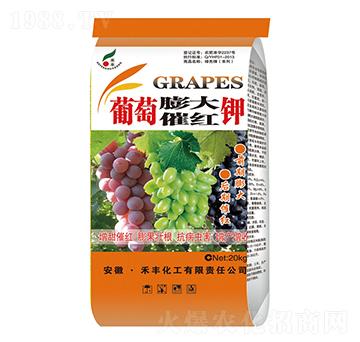 葡萄膨大催紅鉀-禾豐