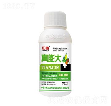 植物生長(zhǎng)復(fù)配調(diào)理劑-真膨大-田俊肥業(yè)