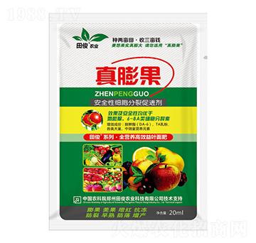 安全性細(xì)胞分裂促進(jìn)劑-真膨果-田俊肥業(yè)