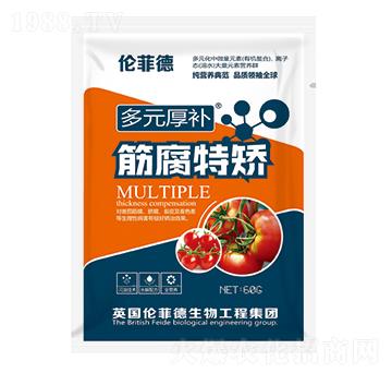 筋腐特矯葉面肥-多元厚補(bǔ)-田俊肥業(yè)