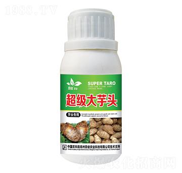 芋頭專用葉面肥-超級(jí)大芋頭-田俊肥業(yè)