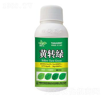黃轉(zhuǎn)綠葉面肥-田俊肥業(yè)