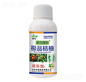 精品桔柚-多元厚補(bǔ)-田俊肥業(yè)