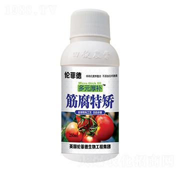 250ml筋腐特矯葉面肥-多元厚補(bǔ)-田俊肥業(yè)
