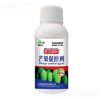 果芒果促控劑-多元厚補(bǔ)-田俊肥業(yè)