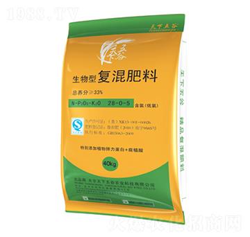 �����͏ͻ����28-0