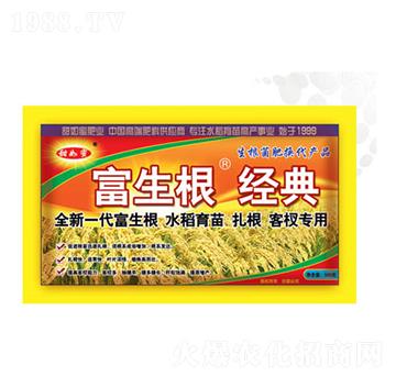 ����������-������