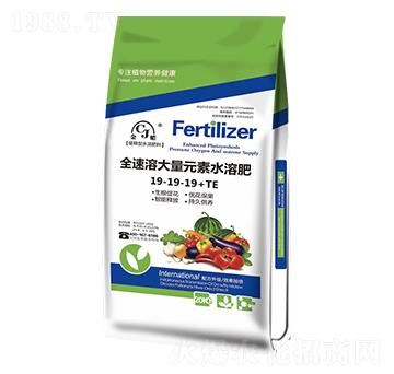 ȫ���ܴ���Ԫ��ˮ�ܷ�19-19-19+TE-�G����