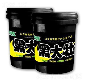 �ڴ��-��������