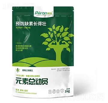 1kgʮ��Ԫ��-Ԫ�ؿ��ӆT-��¡