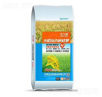 水稻返青柯杈肥-豐力健-漢能肥業(yè)