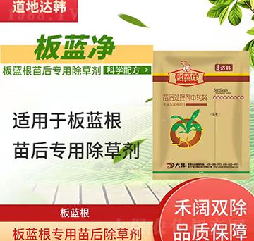 ���{(l��n)�����݄�-���{(l��n)����