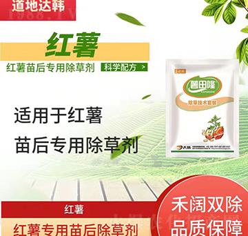 �t�����݄�-�t�����-