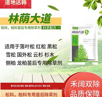 �ɿưؿƳ��݄�-�ɿư�