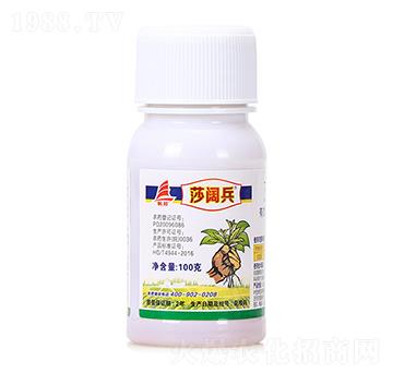480��ÿ�������-ɯ韱�-ϲ�S��