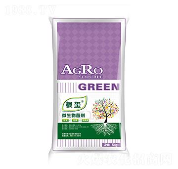 抗根結(jié)線蟲(chóng)型微生物菌劑-根璽-儂本農(nóng)業(yè)