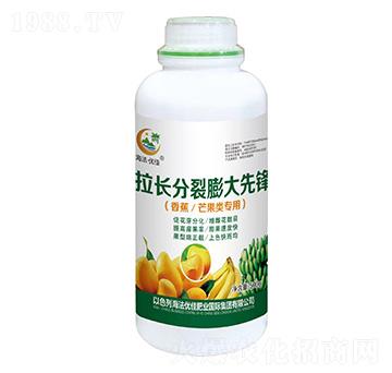 �㽶â���(l��i)��(zhu��n)�����L(zh��ng)����������h-������(y��u)��