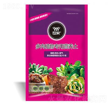 ����ֲ��àI�B(y��ng)��-��