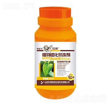 ֲ��Ż�����Һ-����-