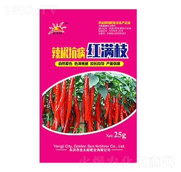 ���������t�M(m��n)֦-��̫�(y��ng)�ʘI(y��)