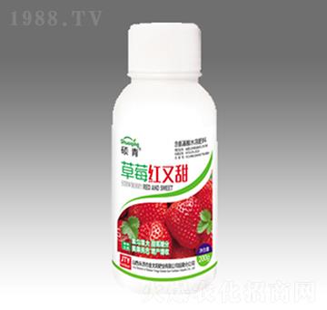 ��ݮ�t����ƿ��-��̫�(y��ng)�ʘI(y��)