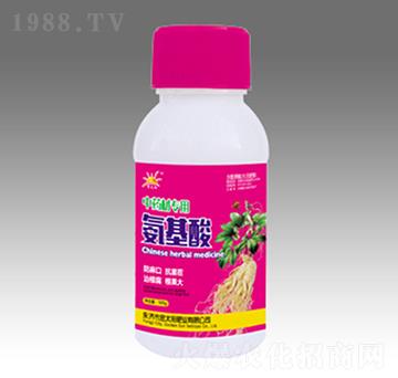 ��ˎ�Č��ð�����-��̫ꖷʘI(y��)