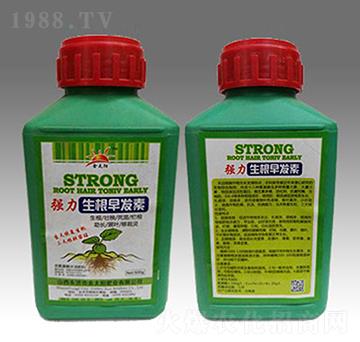 ����������l(f��)��-��̫ꖷʘI(y��)