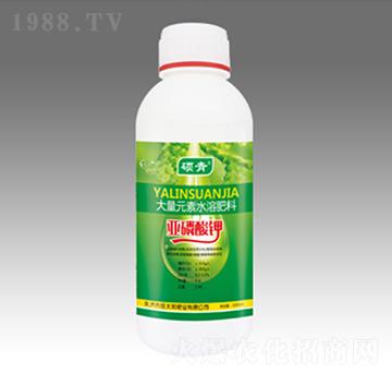 �������-��̫ꖷʘI(y��)