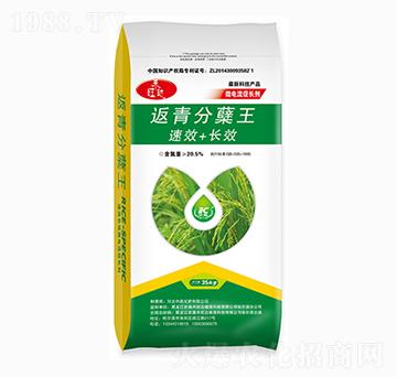 返青分蘗王-中昌化肥