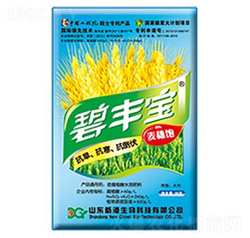 С����(zhu��n)�������-�¸�����