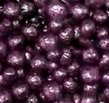 ��֬�ЙC��-�����S