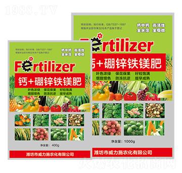 �}+���\�F�V�ʴ��b-��