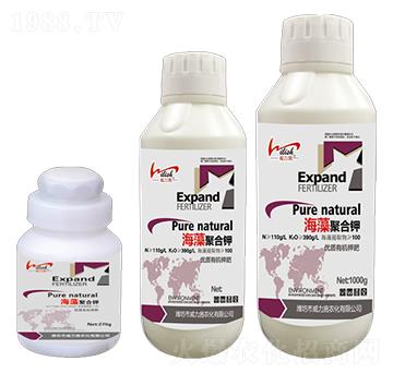 ƿ�b����ۺ��-����ʩ