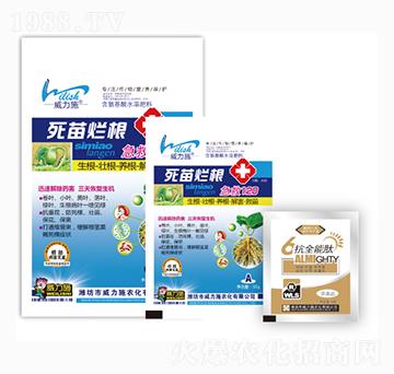 ���砀������120-��