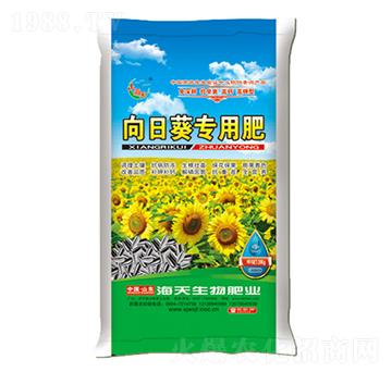 ���տ����÷�-��������