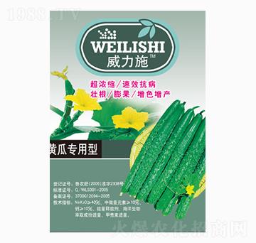 �S�ό�����-����ʩ