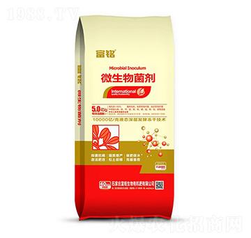 5�|��΢�������-���