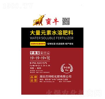 平衡型大量元素水溶肥料19-19-19+TE-蠻牛-巴特旺